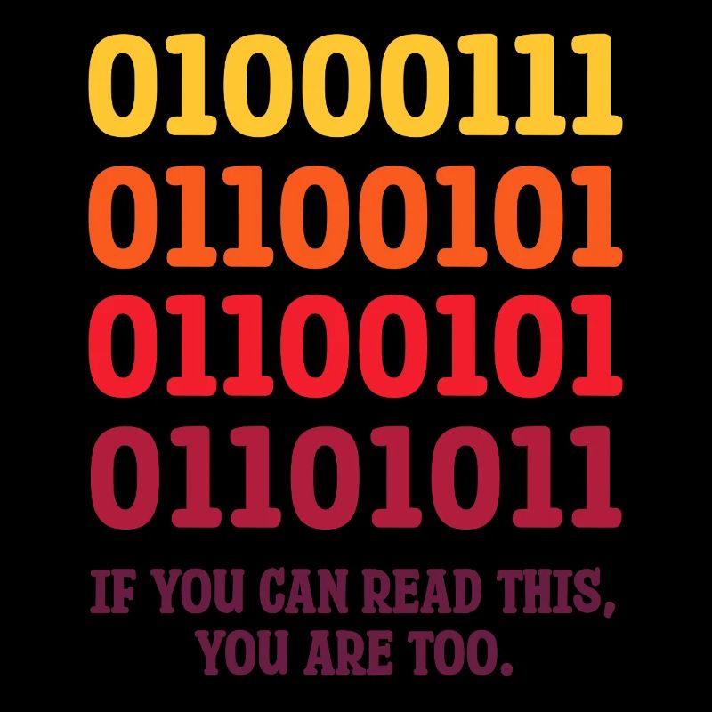 IT Geek, PC Zubehör Speichergeräte Evolution