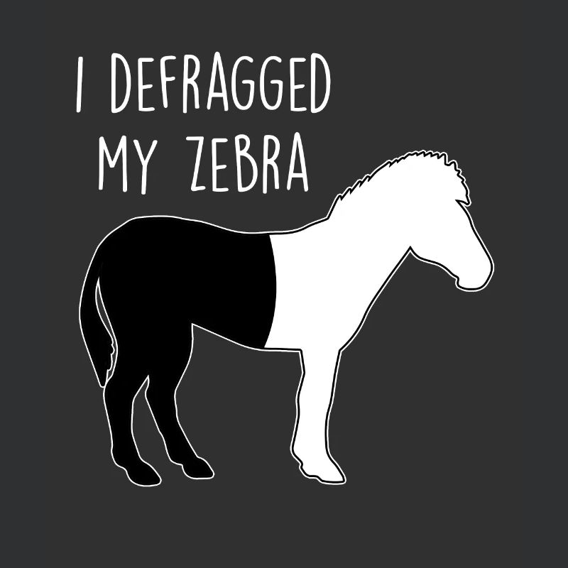 I defragged my Zebra Coder Informaticien Hacker