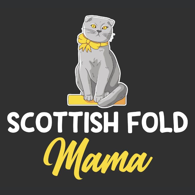 Scottish Fold Katze