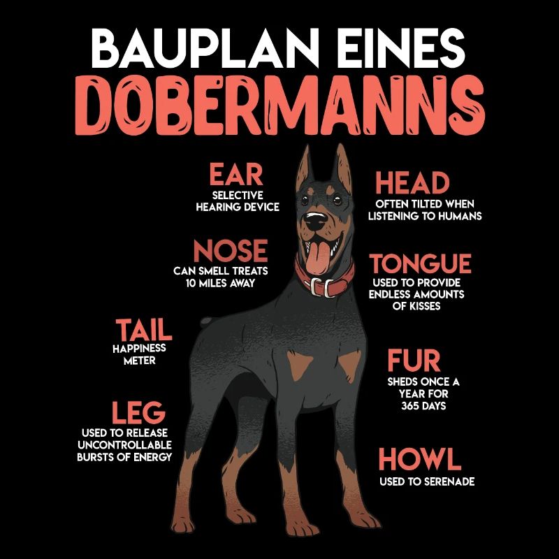 Doberman Besitzer BAUPLAN EINES DOBERMANNS Lustig