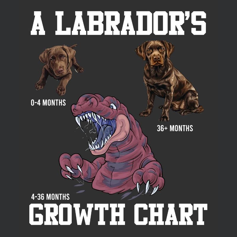 TABLEAU DE CROISSANCE DU Labrador Lovers