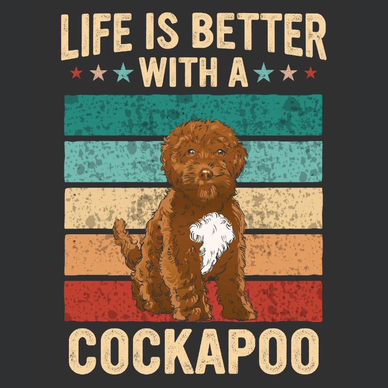 Cockapoo Hund