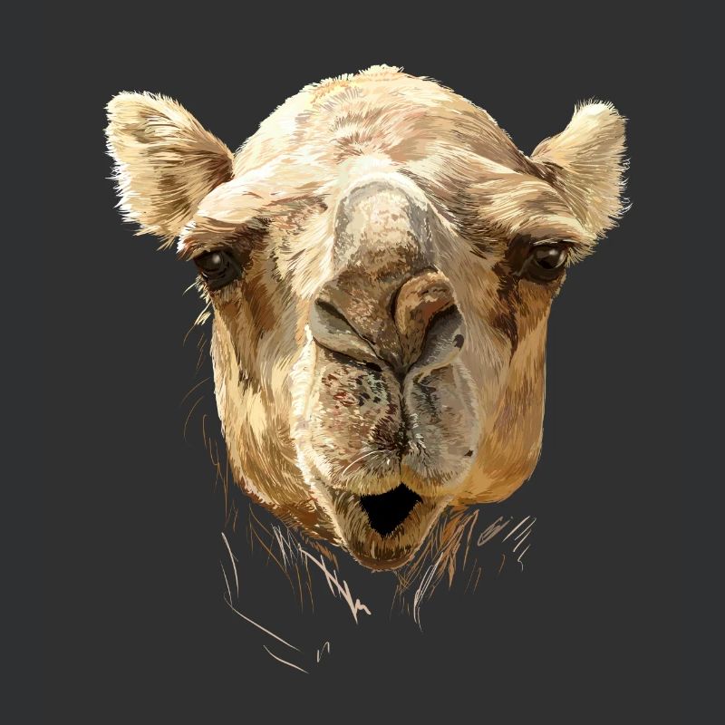 Camel