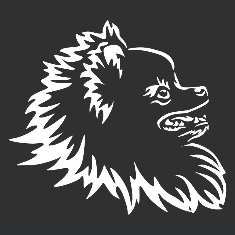 Zwergspitz Kopf "Black Edition"