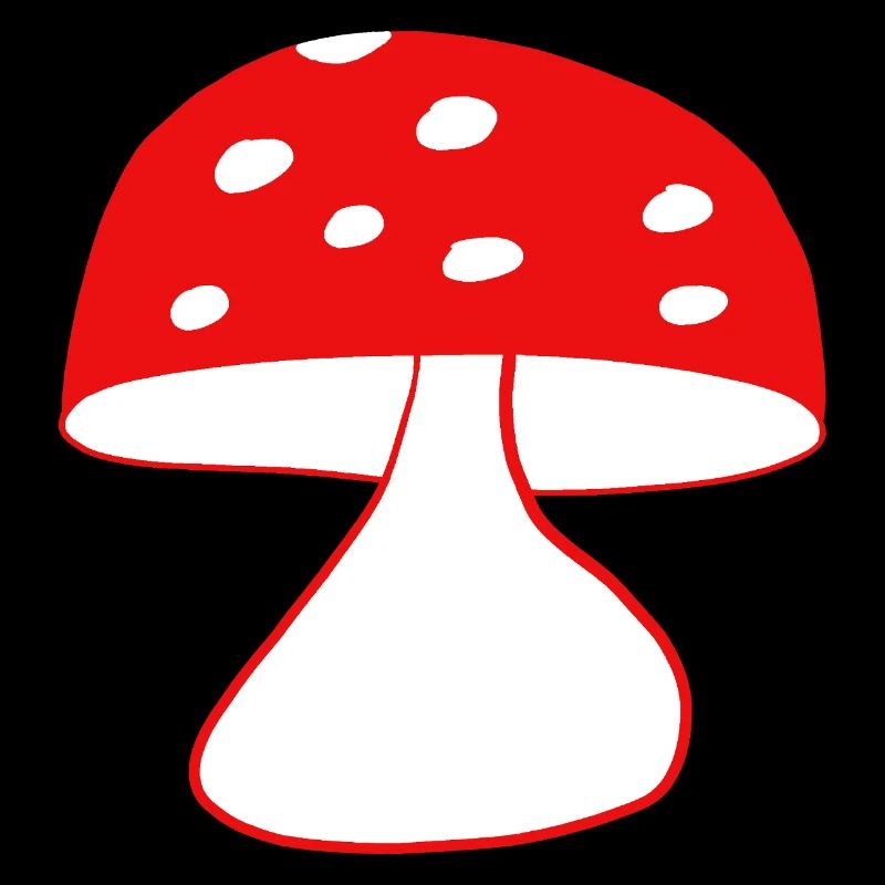 Red fly agaric mushrooms