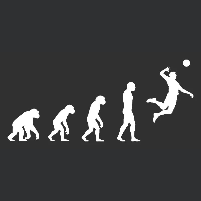 Evolution Volleyball