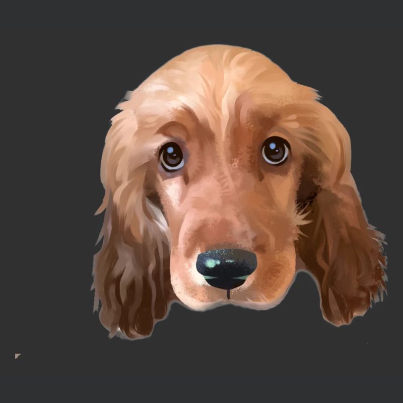 Cocker Spaniel Hund