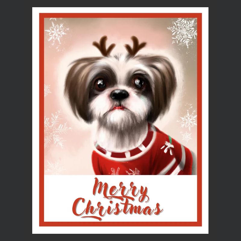 Mignon chien Shih tzu dans un pull de Noël.