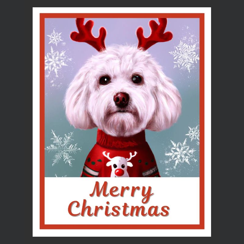 Doux chien (Bichon frise) dans un pull de Noël.