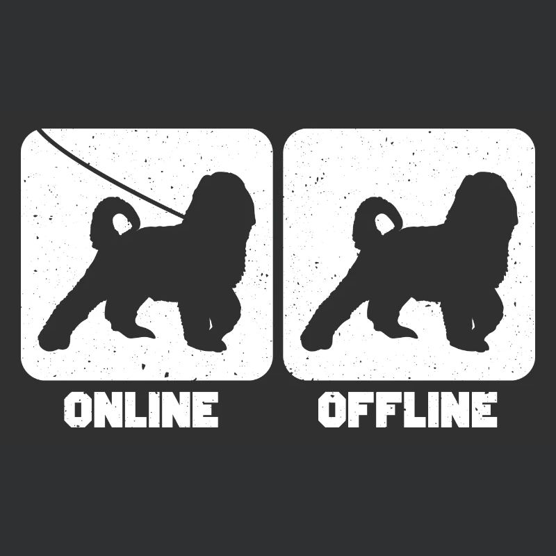 Bernedoodle Hund