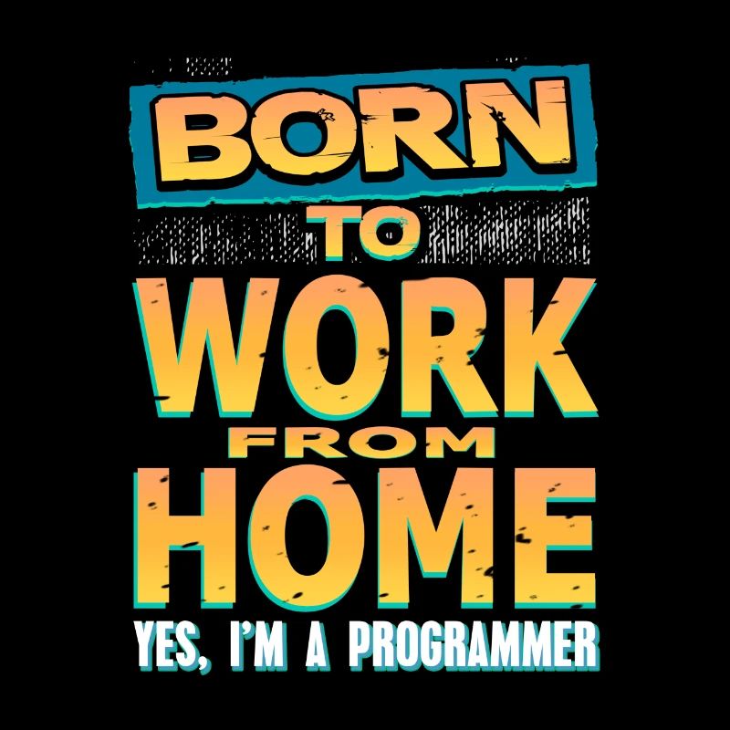 programmeur
