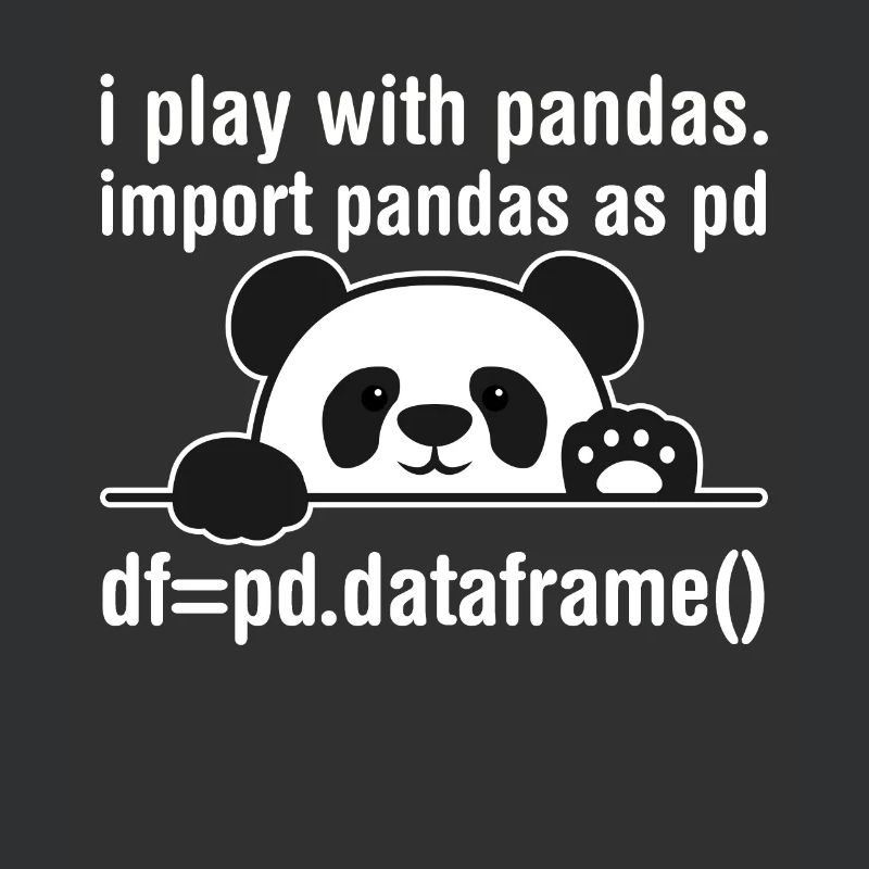 Python programmer IT nerd panda programming