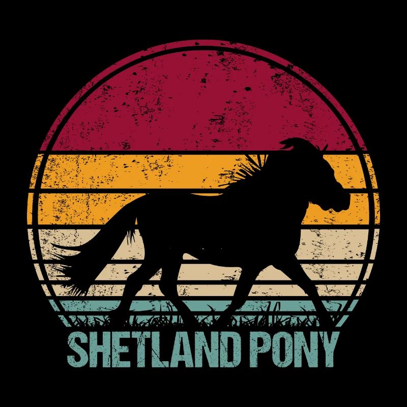 Shetland Pony Vintage