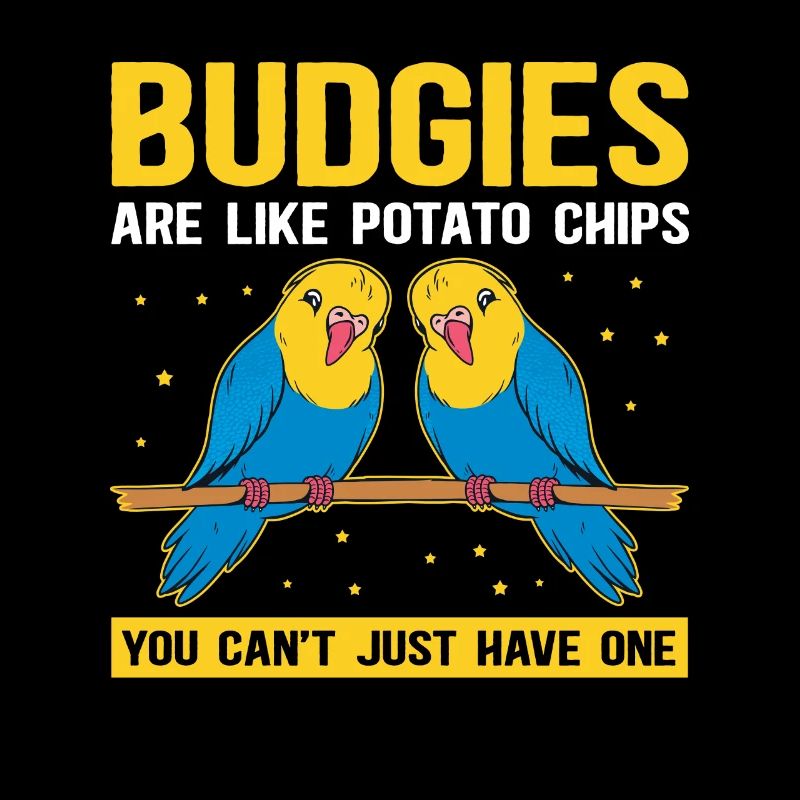 Cadeau de perruche du propriétaire de Budgerigar