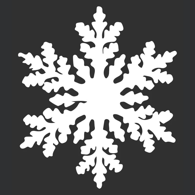 flocon de neige 2
