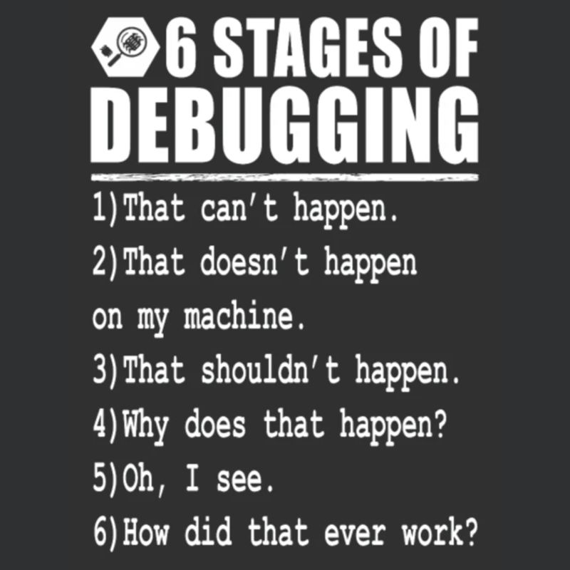 Debug 6 stages of debugging