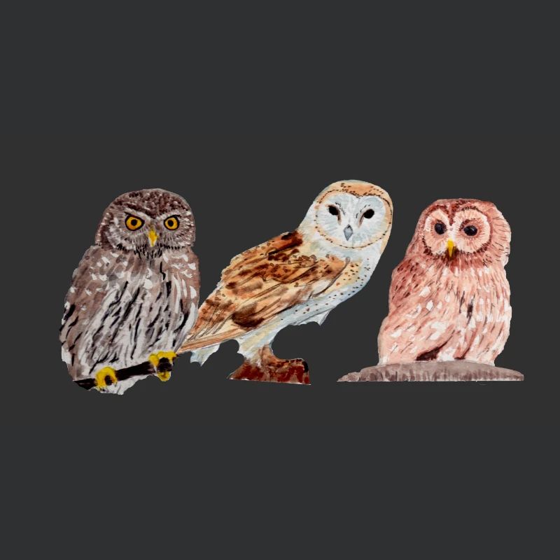 Trio von Eulen