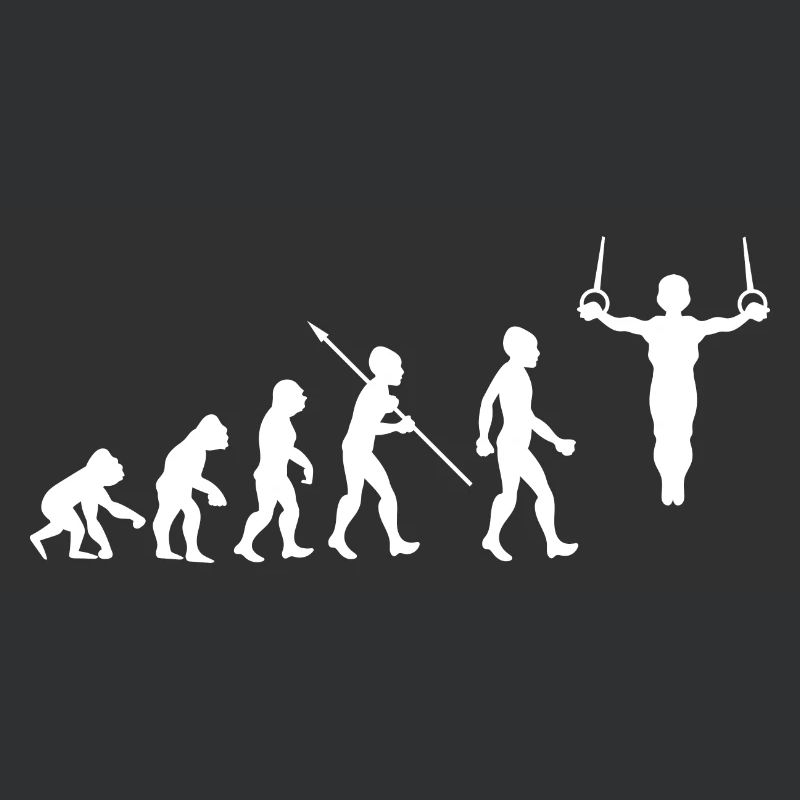 Evolution Gymnastics Gymnastics Acrobatics Gymnastics
