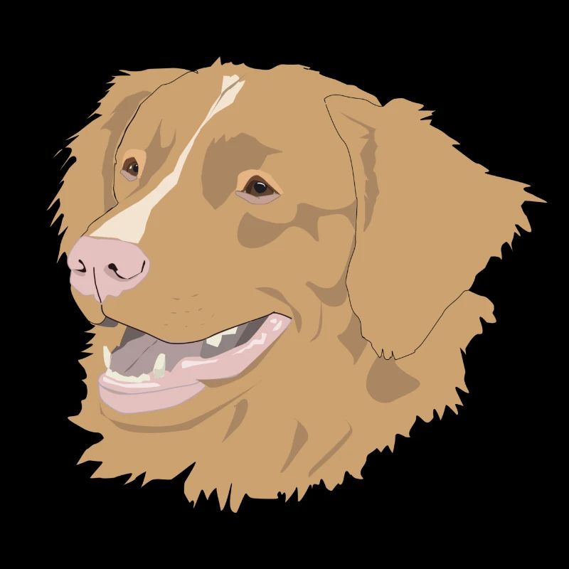 Nova Scotia Duck Tolling Retriever