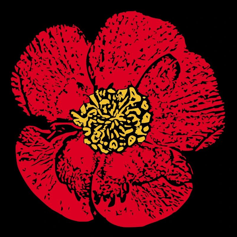 Blume rot rote Blume Blumen rot rote Blumen