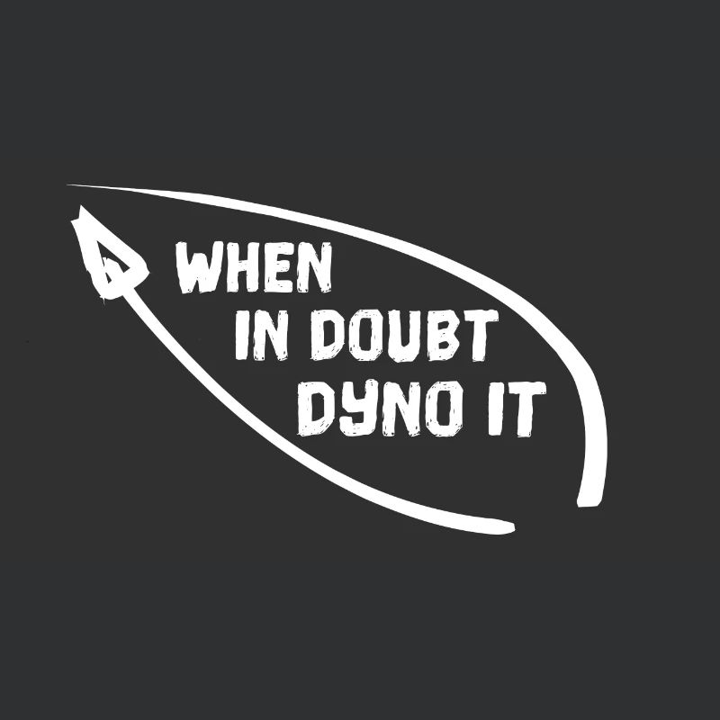 WHEN IN DOUBT DYNO IT Klettern bouldern Kletterer