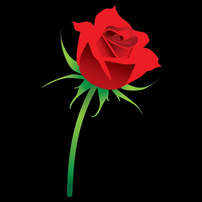 Red Rose