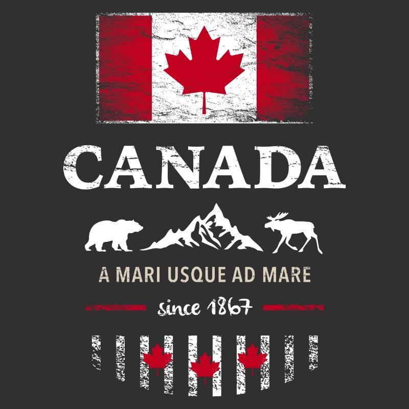 Canada Flag Canada North America Maple Leaf Flag