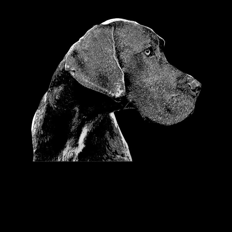 Deutsche Dogge