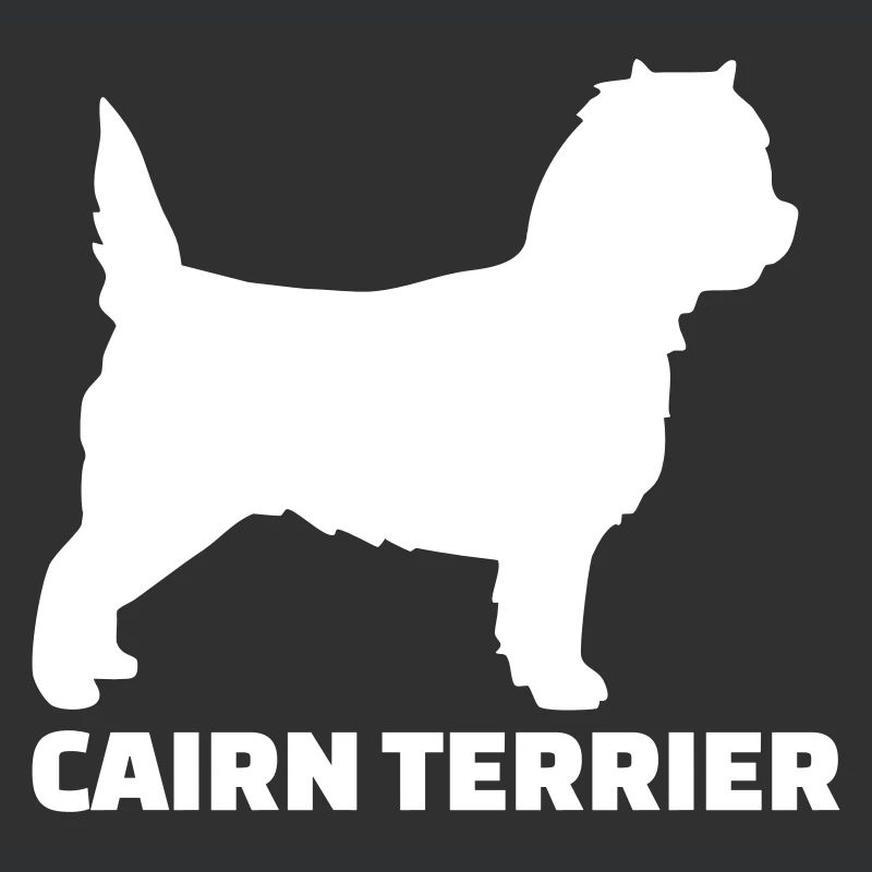 Cairn Terrier