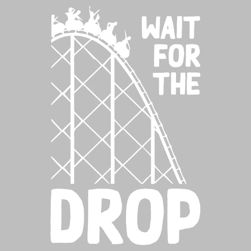 Wait For The Drop Roller Coaster
