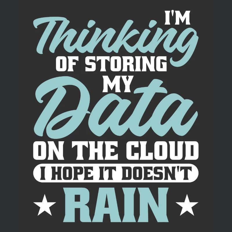 Daten Analytiker Datenschutz Beauftragter