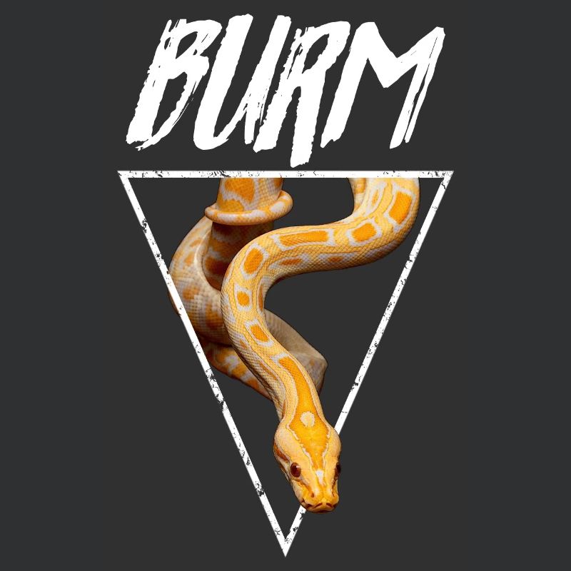 Albino Birmese Python Snake Owner