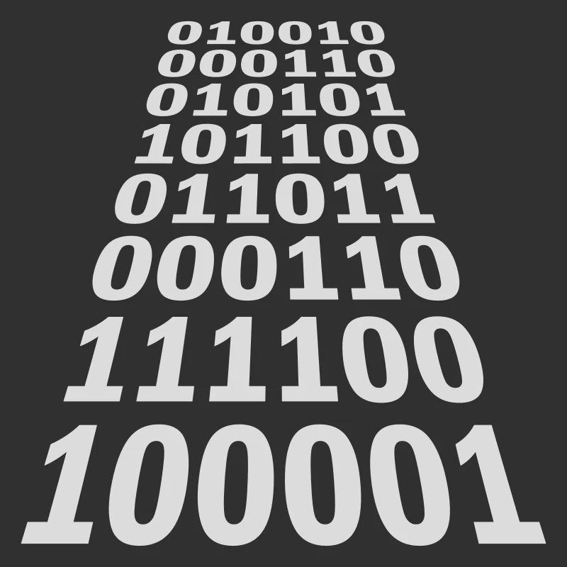Binary Code Program Language