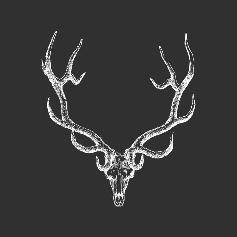 Deer - deer antler