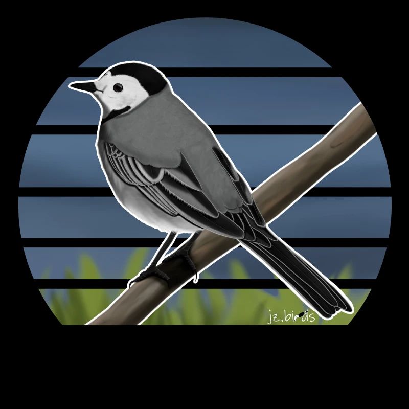 Painted Wagtail Bird Design Illustration