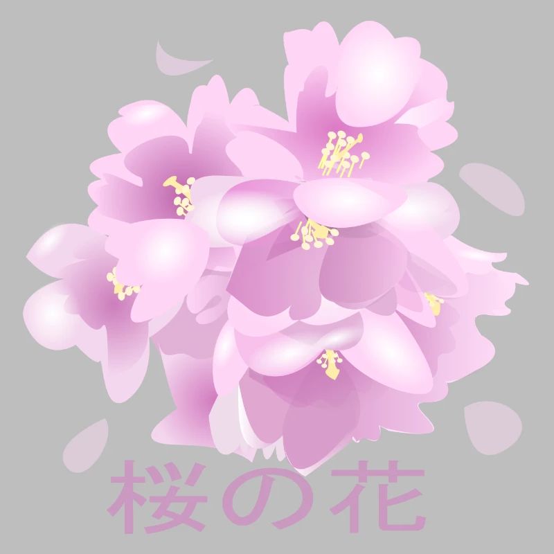 Kirschblüten