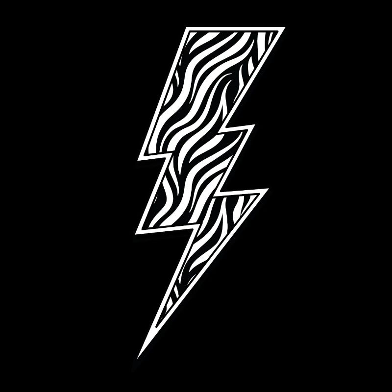 Zebra Flash