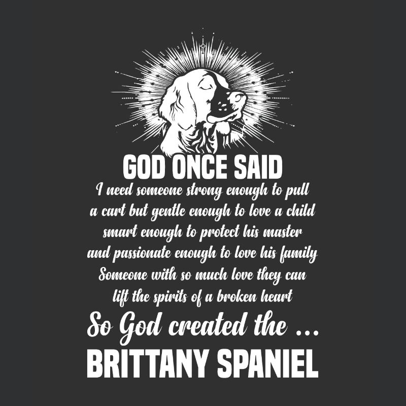 Dog Brittany Spaniel Professional Human Trainer
