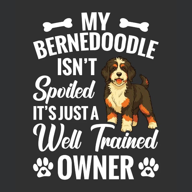 Mon Bernedoodle n’est pas gâté, c’est juste