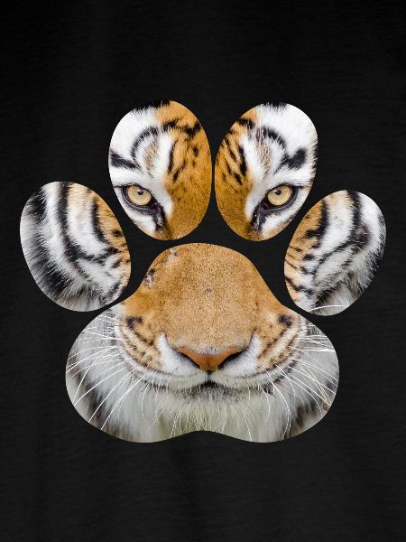 Tiger øje, pot, dyr, kat, gepard, leopard, løve, ge
