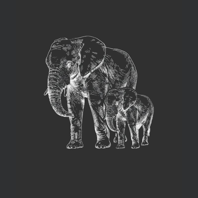 Éléphant