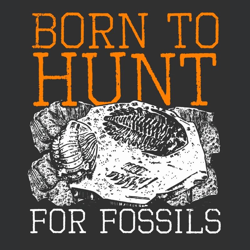 Archaeology Archaeologist