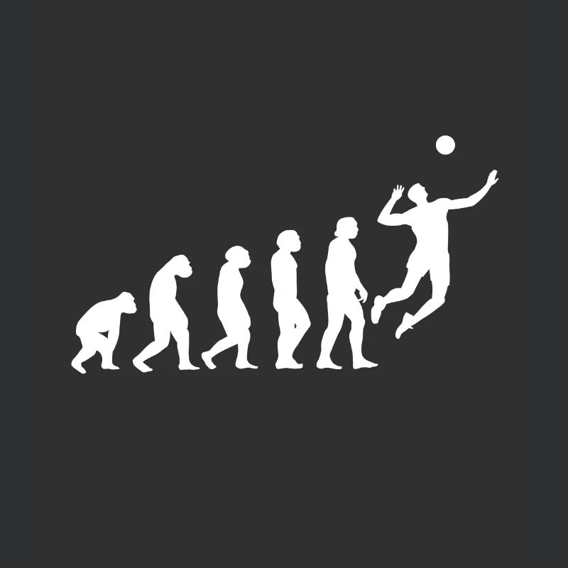 Volleyball Evolution