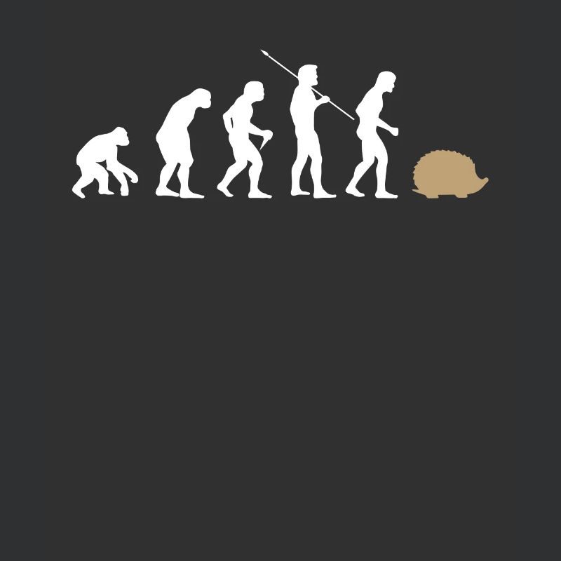 Évolution hérisson