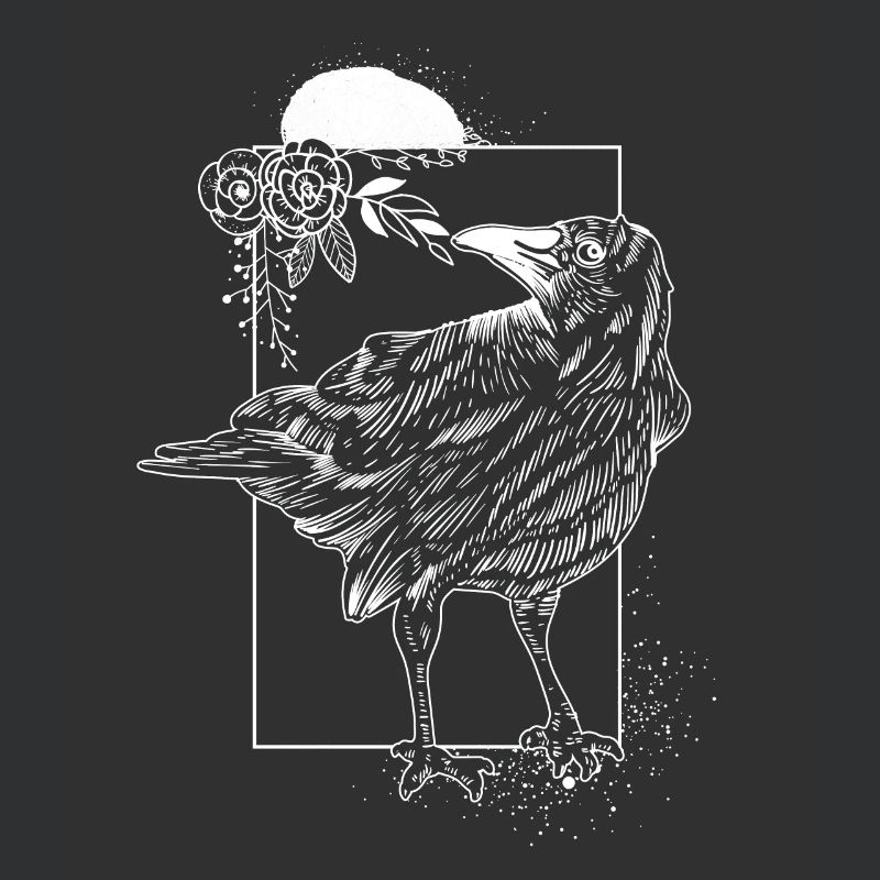 Krähe