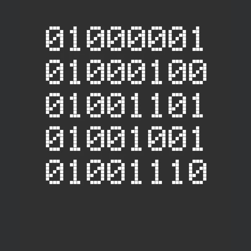 Admin Binary Binary Code Coder Computer Scientist Binary 01