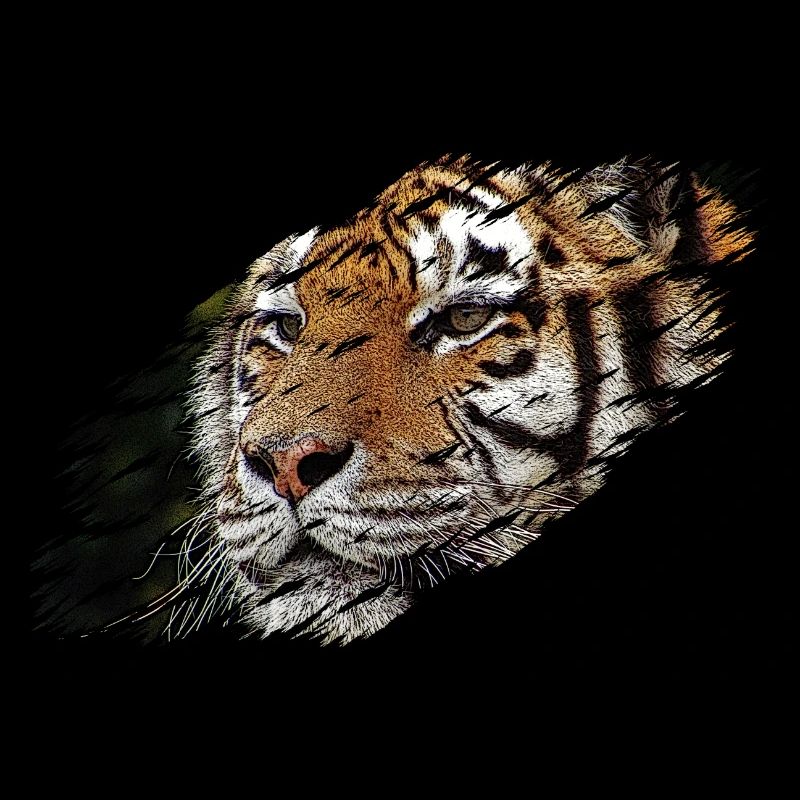 tigre