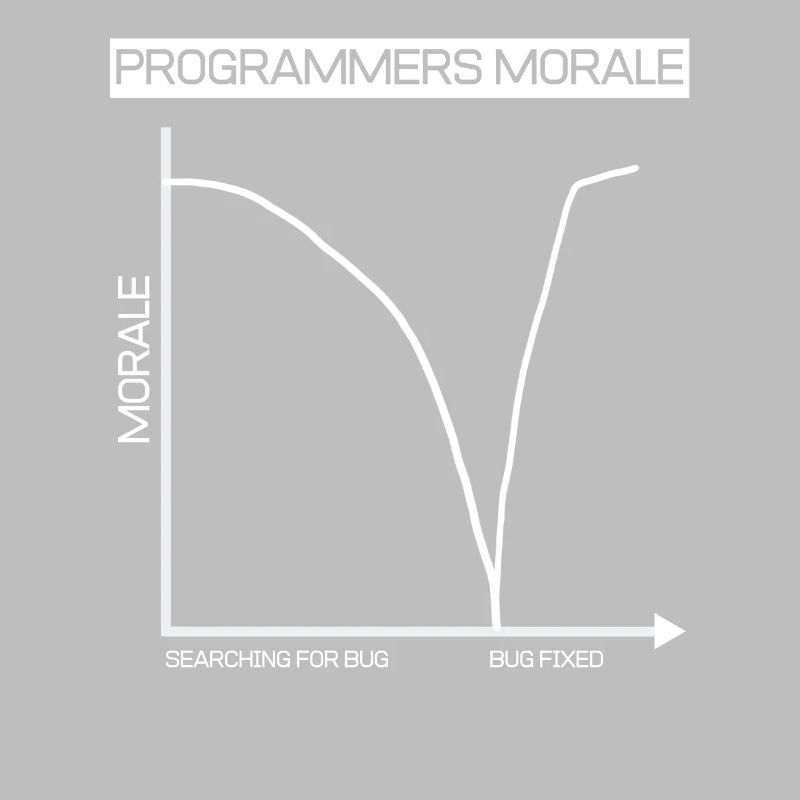 Lustiges Geschenk Programmierer Computer Diagramm
