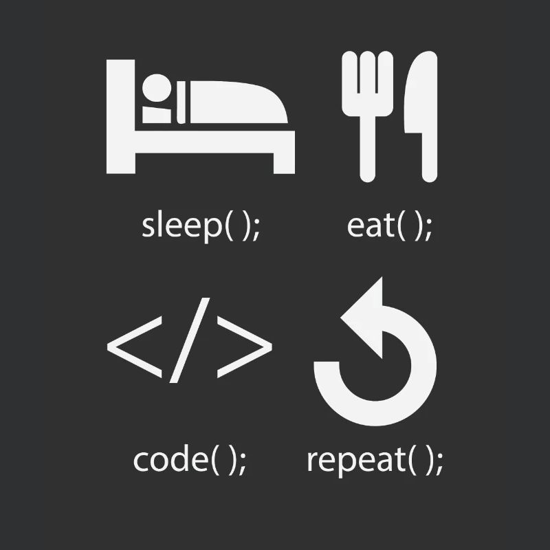 Développeur de programmeur - Eat Sleep Code Repeat