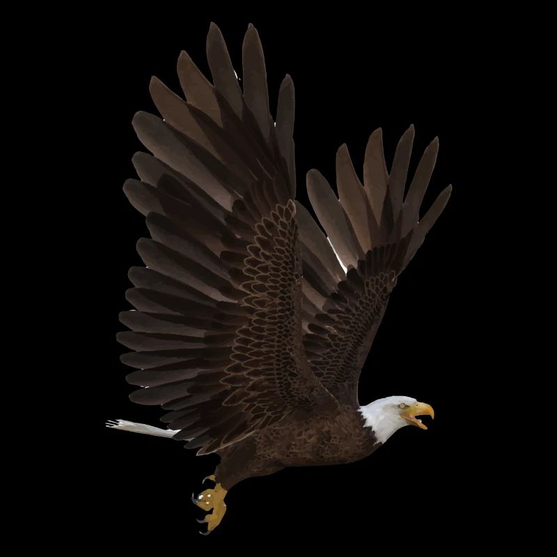 Aigle
